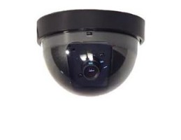 Camara Falsa  Dome 